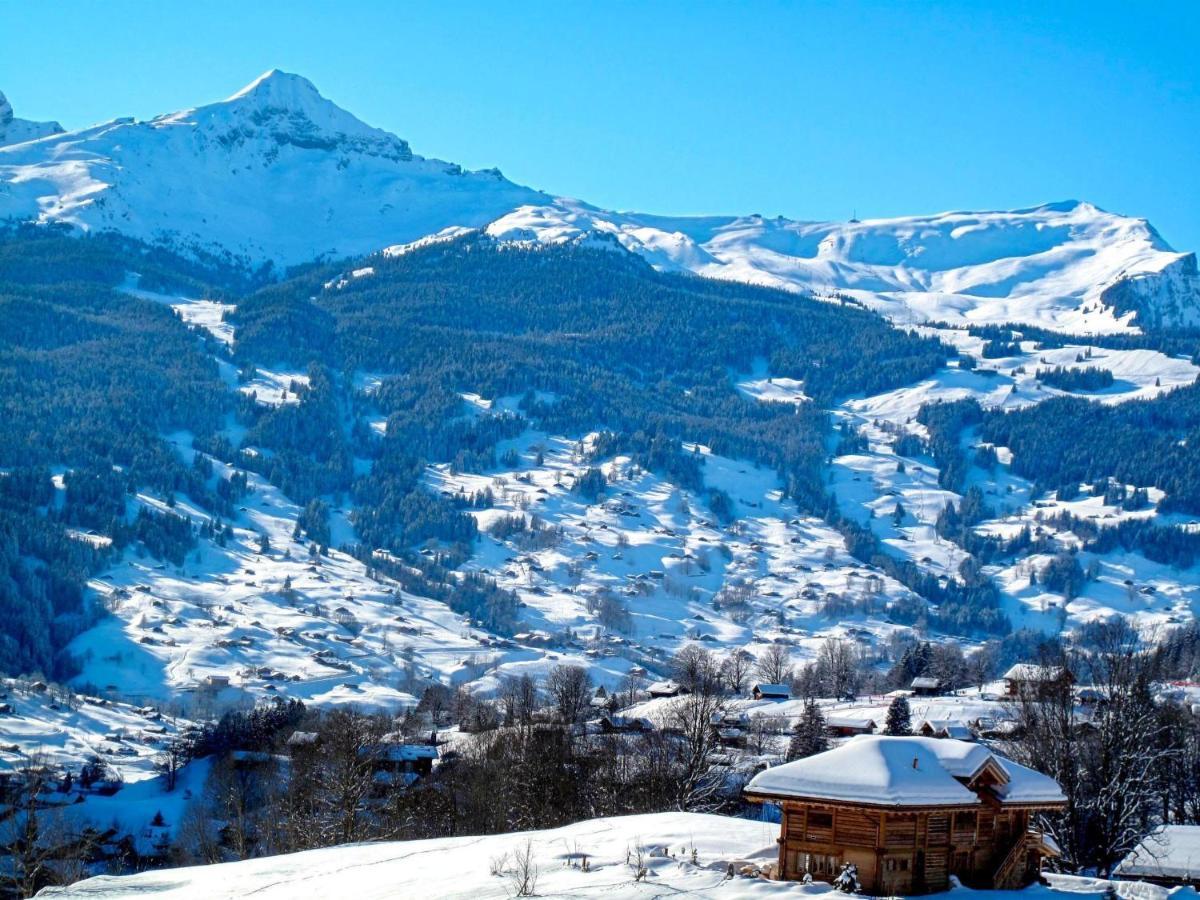 Holzwurm By Interhome Appartement Grindelwald